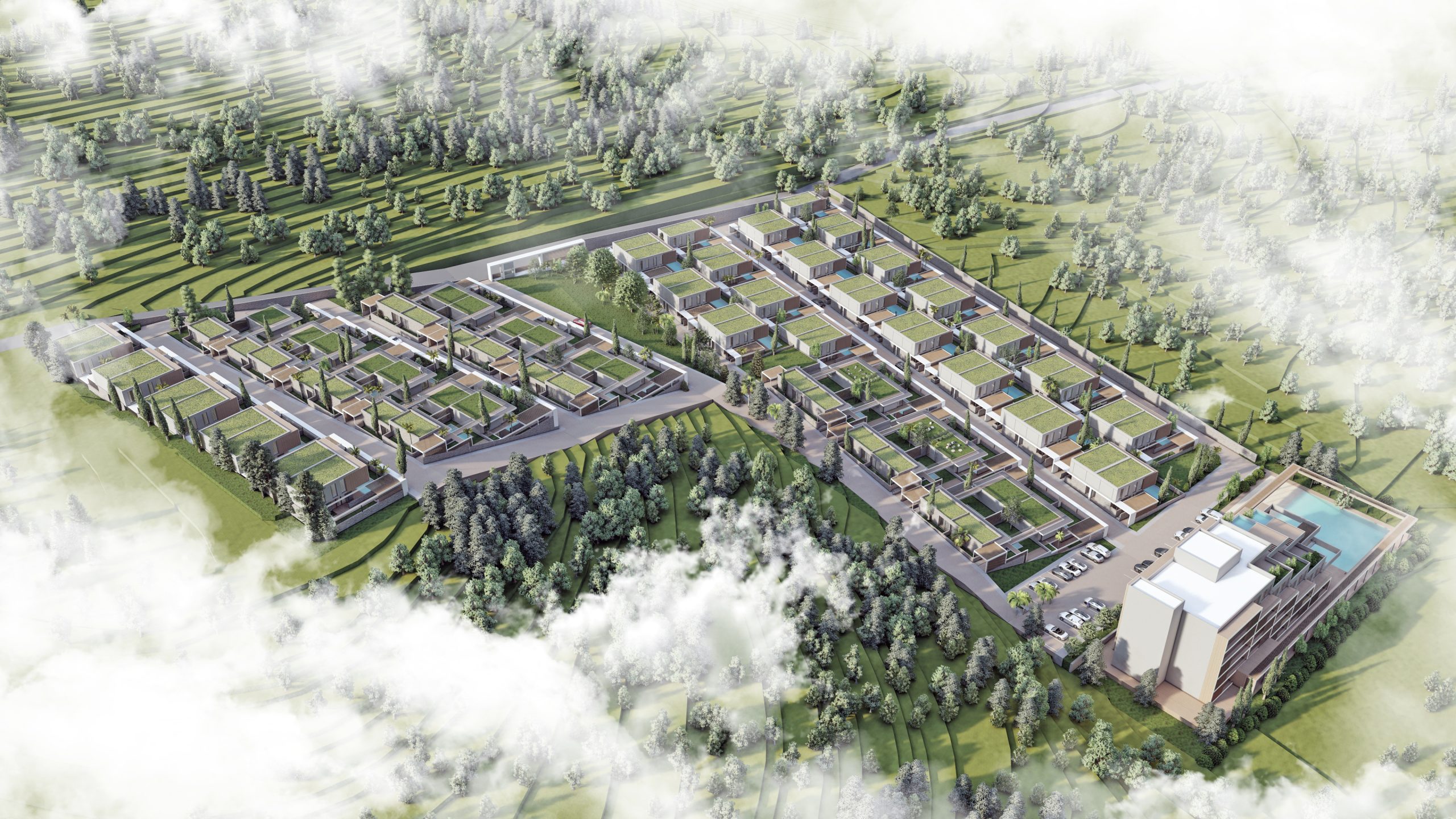 milas_5 – Photo (2)